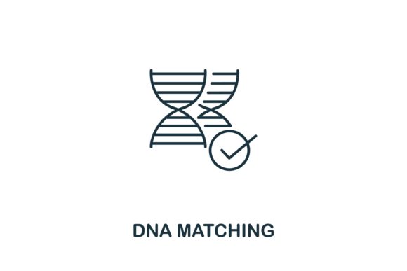 Understanding DNA Metching: A Modern Symbol for Digital Identity and Authentication